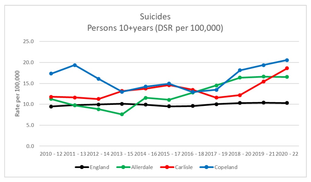 A graph showing data about suicide rates