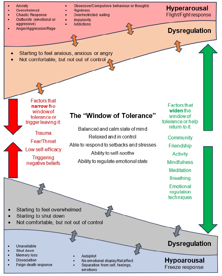 An image depicting the window of tolerance concept