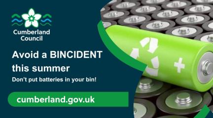 Avoid a Bincident Infographic