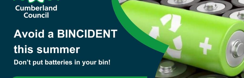 Avoid a Bincident Infographic